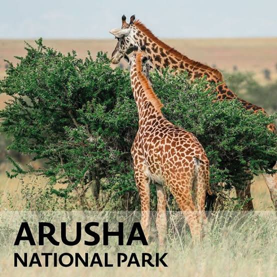 Arusha